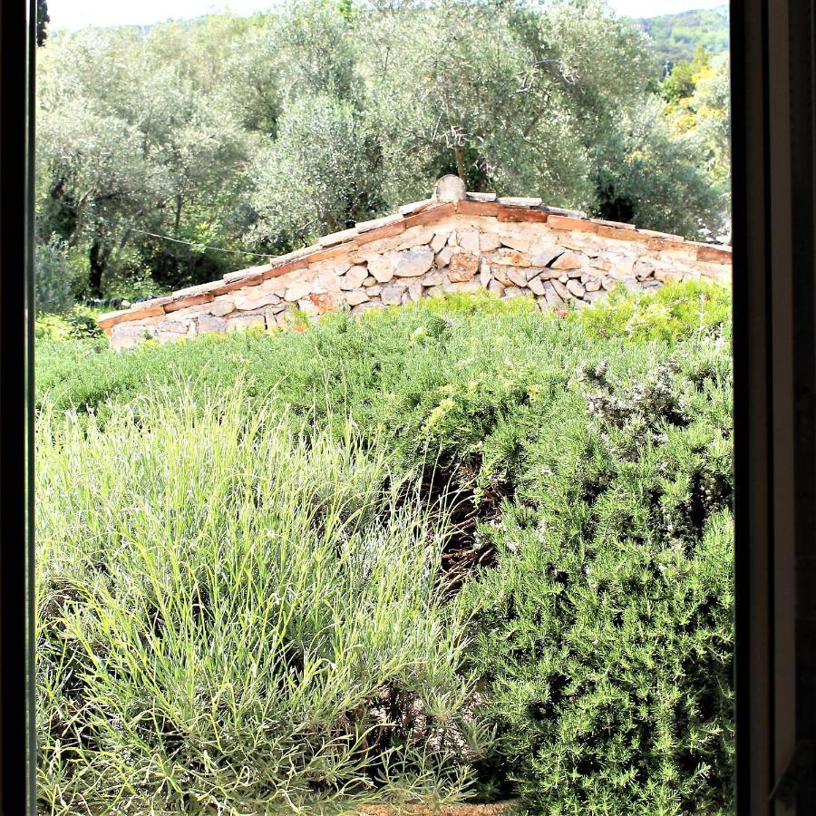Apartmani Klaudija Valun Buitenkant foto